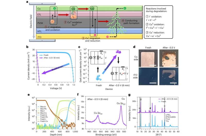 A strategy to enhance the stability of perovskite solar cells under reverse bias conditions