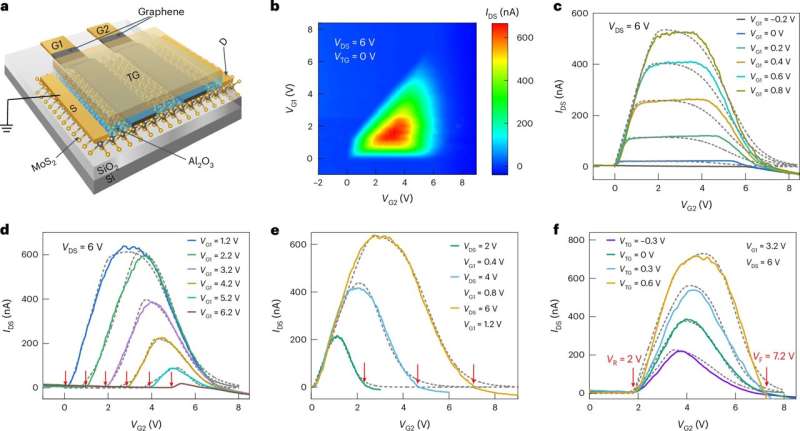 A multi-gate van der Waals interfacial junction transistor to create reconfigurable fuzzy controllers