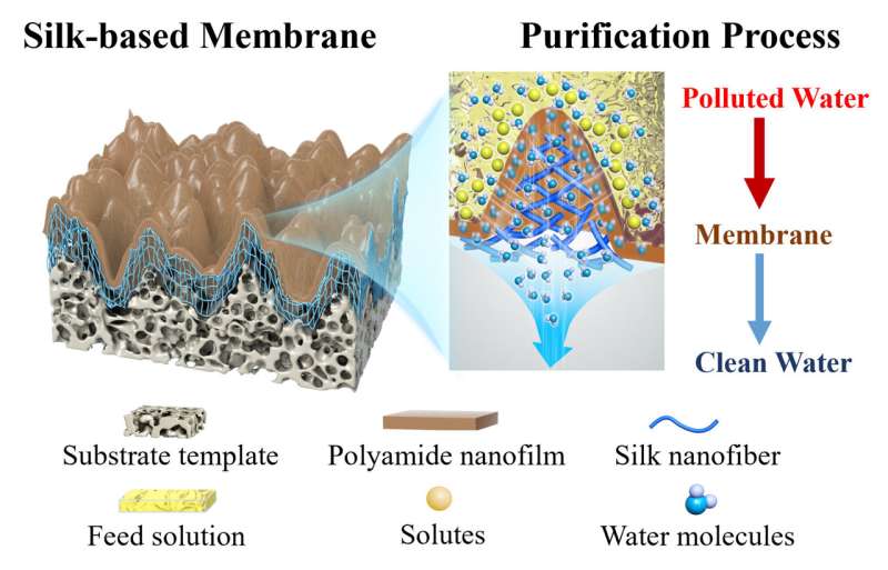 Researchers develop revolutionary silk-based ultra-fast filtration membrane for water purification