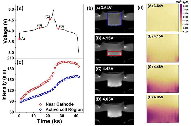 The use of MRI to directly observe metal-ion dissolution in lithium battery cathodes