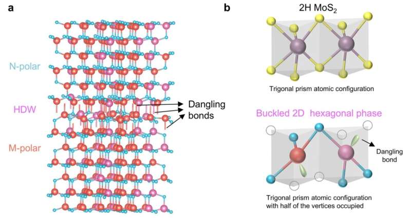 Calculated structural model of the buckled 2D hexagonal phase structure with dangling bonds, at the horizontal join between the differently polarized materials (a; right), alongside a comparison of the traditional hexagonal configuration of the semiconductor structure (b, top left) and the buckled 2D hexagonal phase structure observed in this study (b, bottom left). Credit: University of Michigan Advanced microelectronics: Why a next-gen semiconductor doesn't fall to pieces