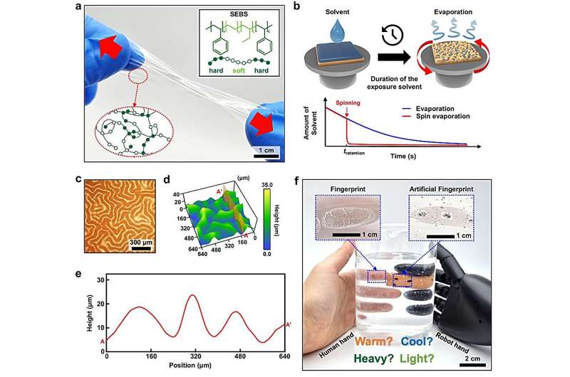 SEBS wrinkling enabling identifiable artificial finger pad electronics. a) Optical image and schematic of SEBS structure. b) Schematic of spin evaporation. c–e) Representative optical microscopy (c), confocal laser scan microscopy (d), and cross-sectional profile (e) of SEBS wrinkle. f) Optical image of the human hand and identifiable artificial finger pad electronics. Credit: Nature Communications (2025). DOI: 10.1038/s41467-025-57498-y Fingerprint-enabled electronic skin with enhanced security