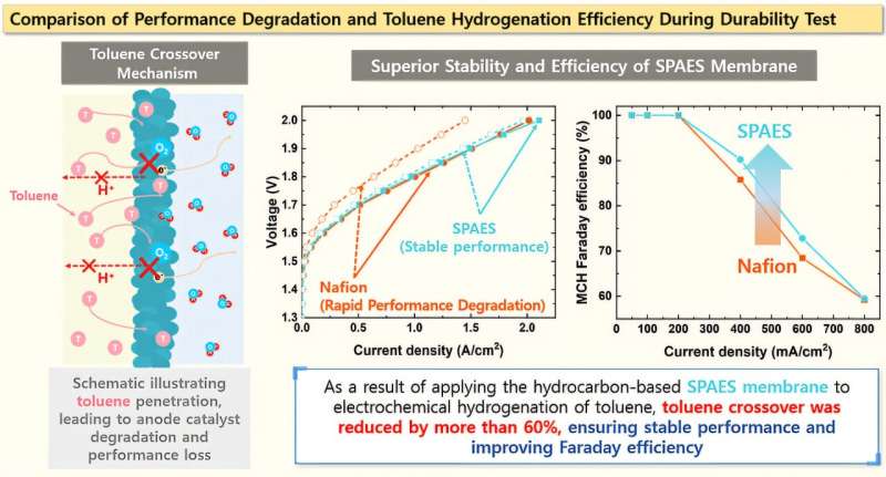 Comparison of Performance Degradation and Toluene Hydrogenation Efficiency During Durability Test. Credit: Korea Research Institute of Chemical Technology (KRICT) Development of high-performance proton exchange membrane for electrochemical LOHC hydrogen storage