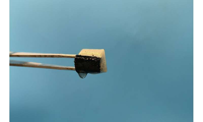 Smart spongy device captures water from thin air