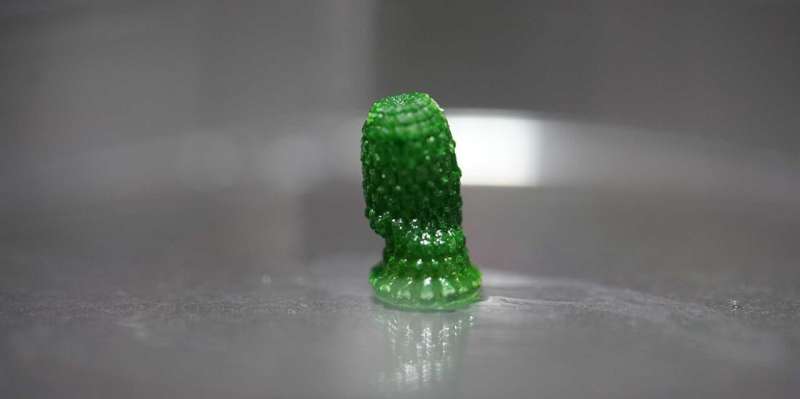 3D-printed "pineapple" with cyanobacteria growing inside after a development period of 60 days. The green colour comes from the chlorophyll of the photosynthetic bacteria. Credit: Yifan Cui / ETH Zurich A building material that lives and stores carbon