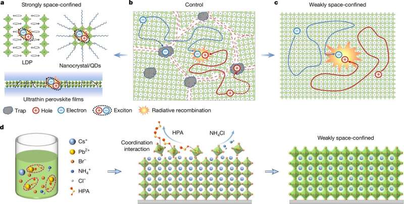 Schematics and carrier recombination kinetics of different perovskites. Credit: Nature (2025). DOI: 10.1038/s41586-025-09137-1 USTC develops weakly space-confined all-inorganic perovskite light-emitting diodes