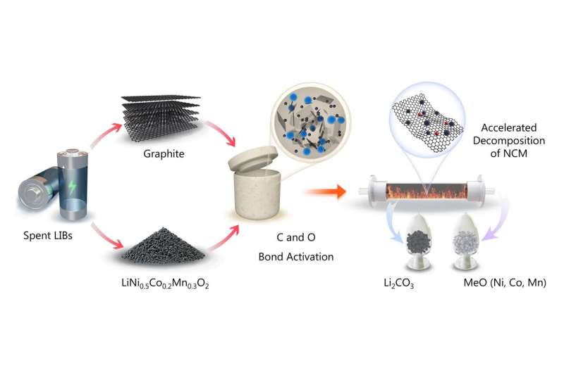 Schematic illustrating the synchronous activation of carbon and oxygen bonds in spent LIBs: By leveraging graphite from anode materials, the HKUST team promotes interfacial carbon–oxygen bond activation, which accelerates the thermal decomposition of nickel–cobalt–manganese (NCM) cathodes at significantly lower temperatures—enabling efficient recovery of lithium carbonate (Li₂CO₃) and transition metal oxides (Ni, Co, Mn) for closed-loop recycling. Credit: Advanced Science (2025). DOI: 10.1002/advs.202570161 Breakthroughs in lithium-ion battery recycling to enhance critical metal recovery and reduce carbon emissions