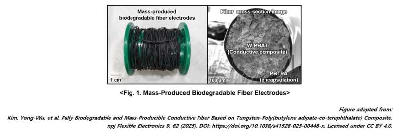 Mass-produced biodegradable fiber electrodes. Credit: npj Flexible Electronics disappearing electronics: Biodegradable fiber electronics could solve the growing e-waste and textile crisis