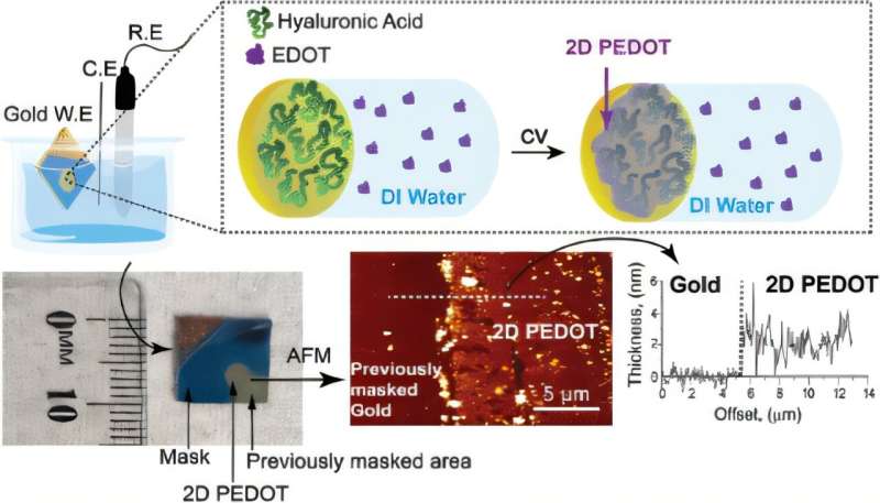 Graphical abstract. Credit: ACS Applied Materials & Interfaces (2025). DOI: 10.1021/acsami.5c06970 Invisible material could revolutionize smart tech