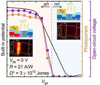 Credit: Advanced Functional Materials (2025). DOI: 10.1002/adfm.202510113 News at KAIST