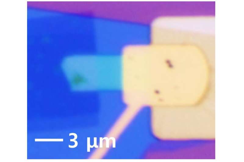 Optical microscope image of the newly developed self-powered photodetector device. Credit: Credit: The Korea Advanced Institute of Science and Technology (KAIST) News at KAIST