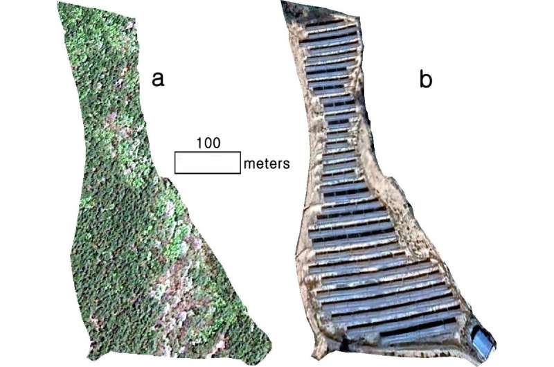 Comparison of coastal forestry cover between solar trees and flat fixed panel installation, (a) coastal forestry landscape before solar power plant construction, (b) non-forestry landscape after flat fixed panel construction. See Fig. 1 for the location of the image. Credit: Scientific Reports (2025). DOI: 10.1038/s41598-025-12313-y Solar trees provide opportunity to meet renewable energy targets without deforestation