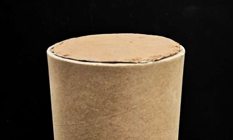 Cardboard and earth reshape sustainable construction