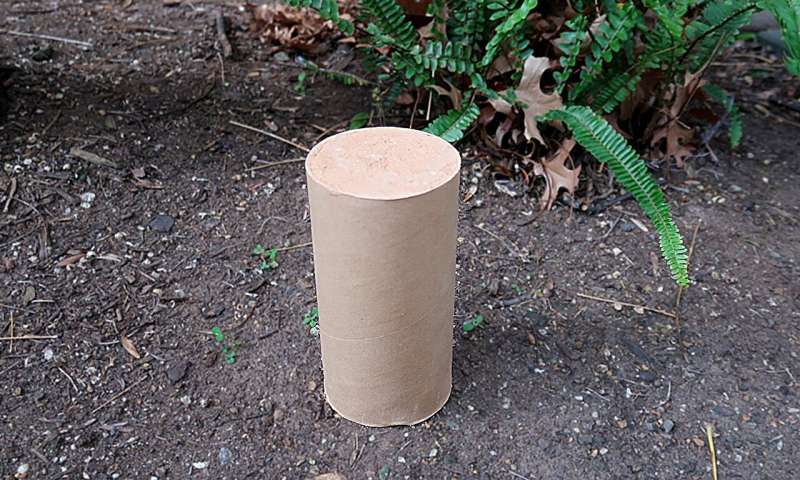 Cardboard and earth reshape sustainable construction