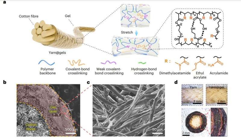 Cotton-based methanol fuel cells could power flexible electronics advancements