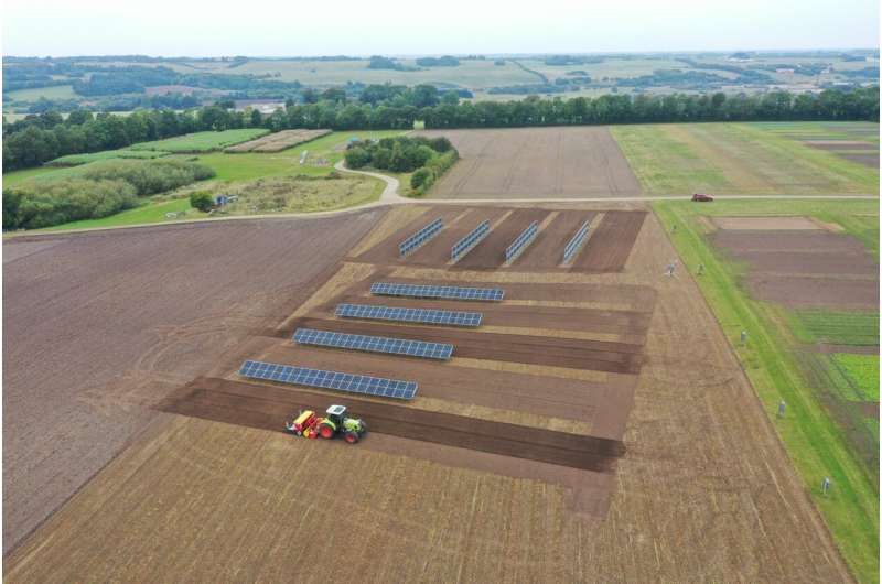 Aarhus University research fields at the AU Viborg research lab. Credit: Aarhus University Double harvest: Vertical solar panels and crops thrive side by side