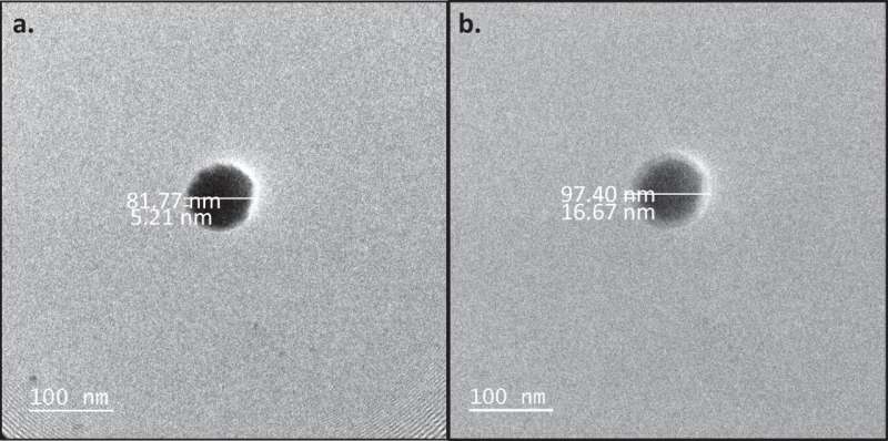 Microscopy images. TEM images provide evidence of the core-shell morphology in the synthesized MOF-on-MOF structures. a TEM images of MOF-on-MOF-BS reveals a well-defined core-shell architecture, highlighting the successful assembly of the fluorescent shell ligand onto the UiO-67 core. b Similarly, TEM images of MOF-on-MOF-BA confirm the formation of a distinct core-shell structure, demonstrating the controlled growth of Zr-AzoBDC on UiO-67. Credit: Nature Communications (2025). DOI: 10.1038/s41467-025-62809-4 Metal organic frameworks enable a key step toward greener lighting and display technologies