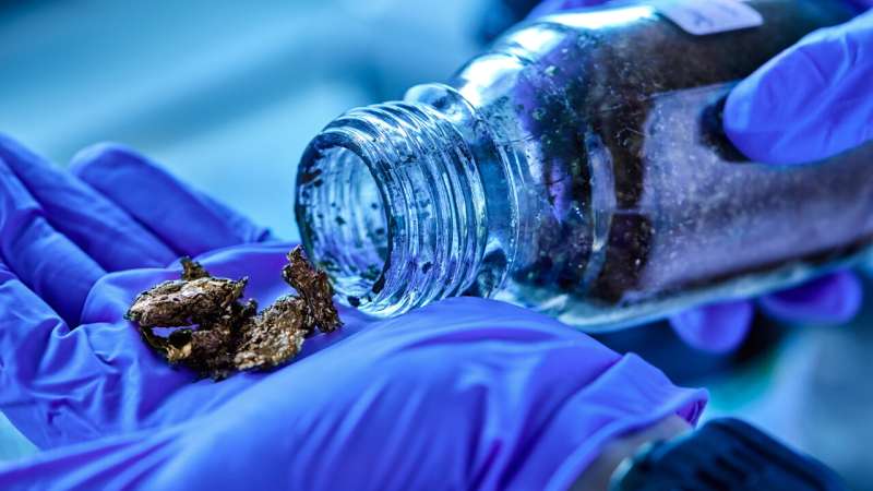 Pioneering recipe for conductive plastics – paves the way for your body to go online