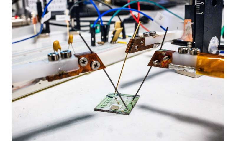 Plastic nerve cells become more advanced – and simpler