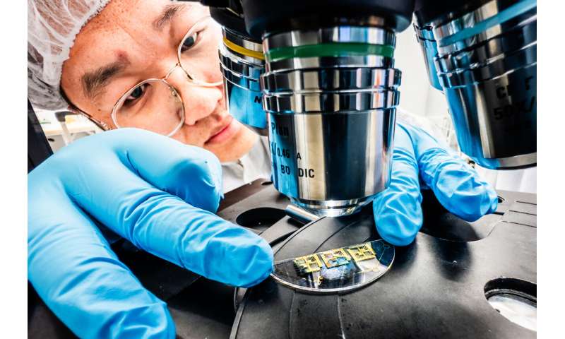 Plastic nerve cells become more advanced – and simpler