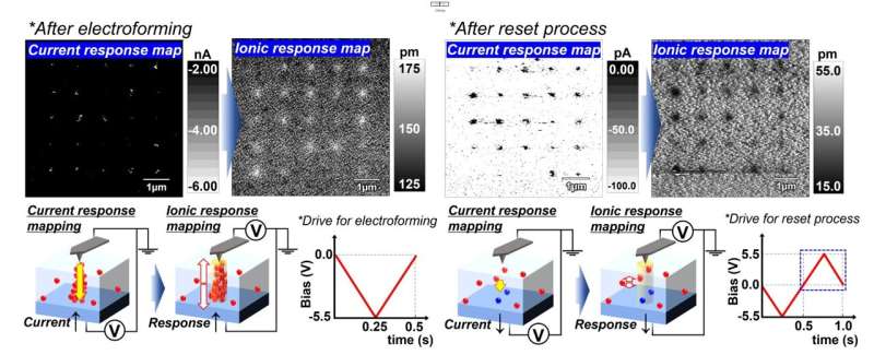 Credit: ACS Applied Materials & Interfaces (2025). DOI: 10.1021/acsami.5c10123 Spatially correlated oxygen vacancies, electrons and conducting paths in TiO2 thin films
