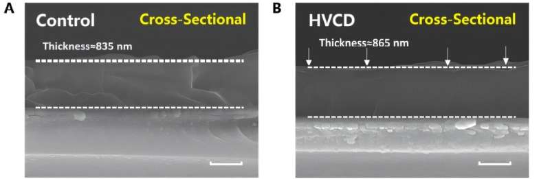 Cross-sectional SEM images of control and HVCD perovskite films (scale bar: 500 nm). The perovskite films were deposited on FTO substrate directly. Credit: Science (2025). DOI: 10.1126/science.adw8780 New manufacturing technique boosts solar cell efficiency and durability